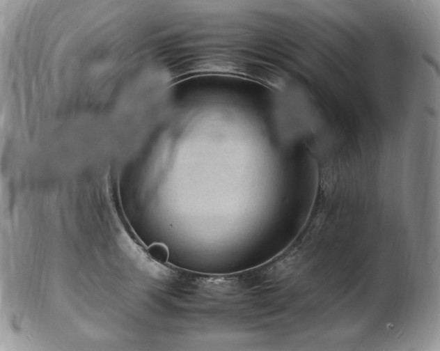X0000103251139200808281458