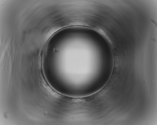 X0000103251140200808281458