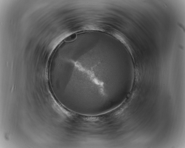 X0000103251141200808281458