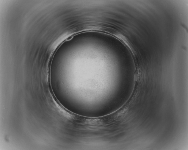 X0000103251143200808281458