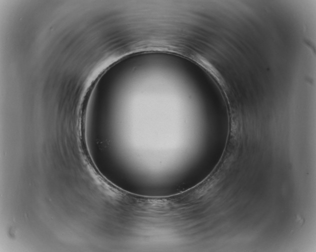 X0000103251144200808281458
