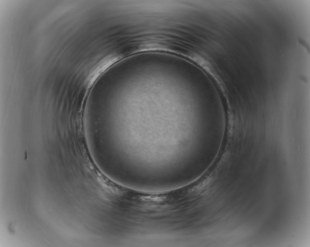 X0000103251145200808281458