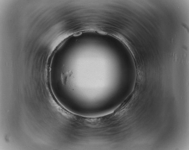 X0000103251147200808281458