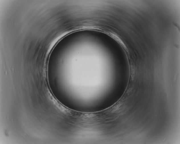 X0000103251148200808281458