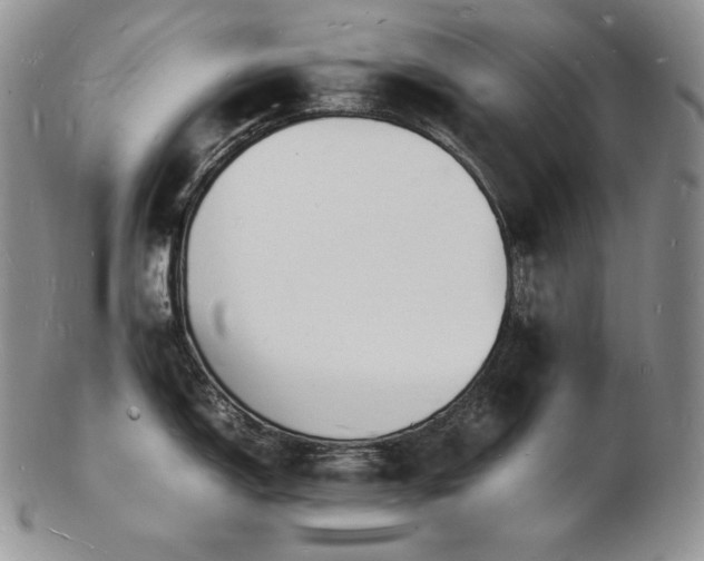 X0000103251150200808281458