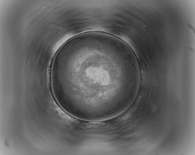 X0000103251151200808281458