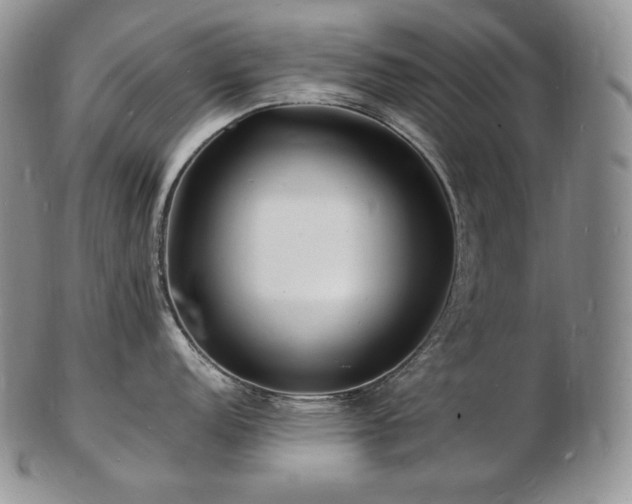 X0000103251152200808281458