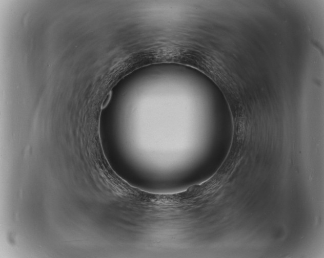 X0000103251153200808281457