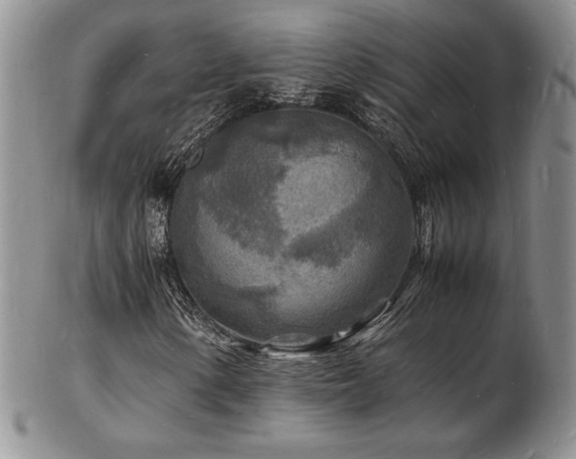 X0000103251154200808281457