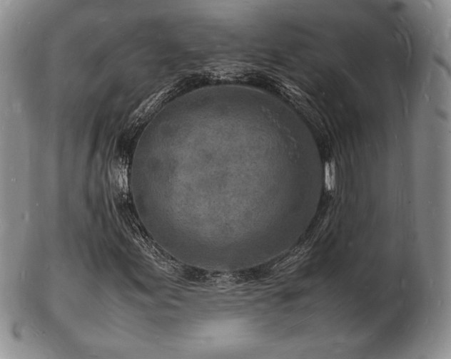 X0000103251155200808281457