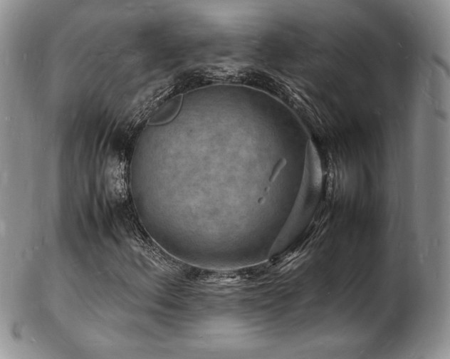 X0000103251156200808281457