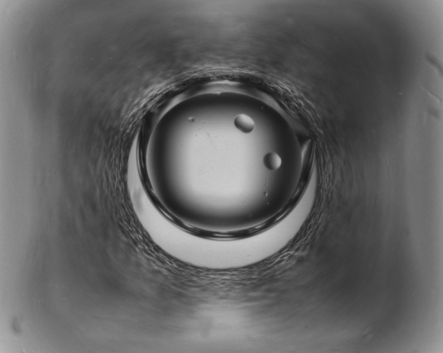 X0000103251157200808281457