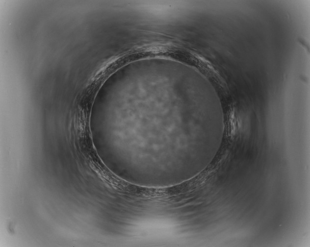 X0000103251158200808281457