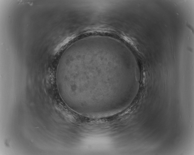 X0000103251159200808281457