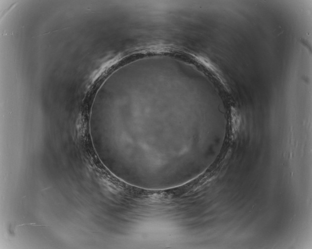 X0000103251160200808281457