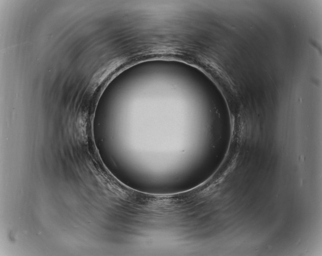 X0000103251162200808281457
