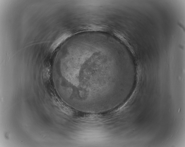 X0000103251163200808281457