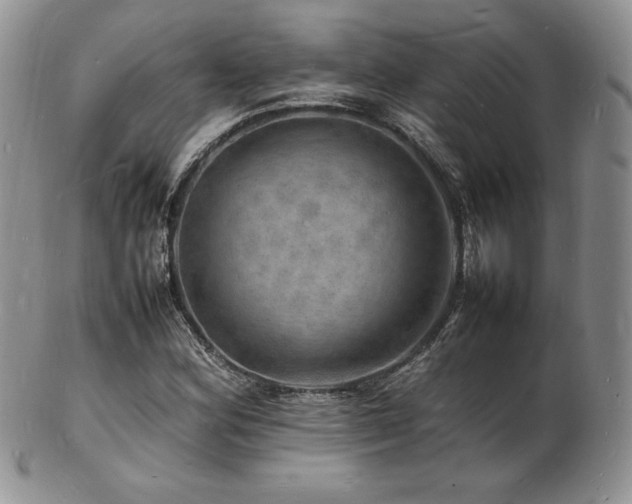 X0000103251164200808281457