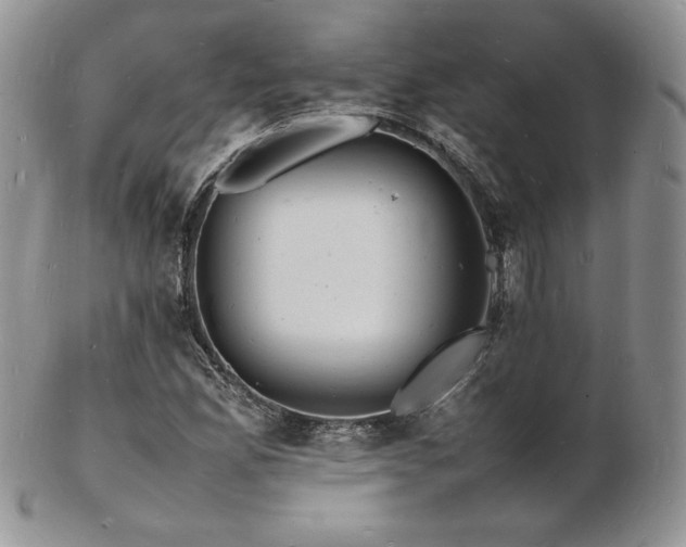X0000103251165200808281457