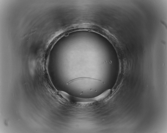 X0000103251166200808281457