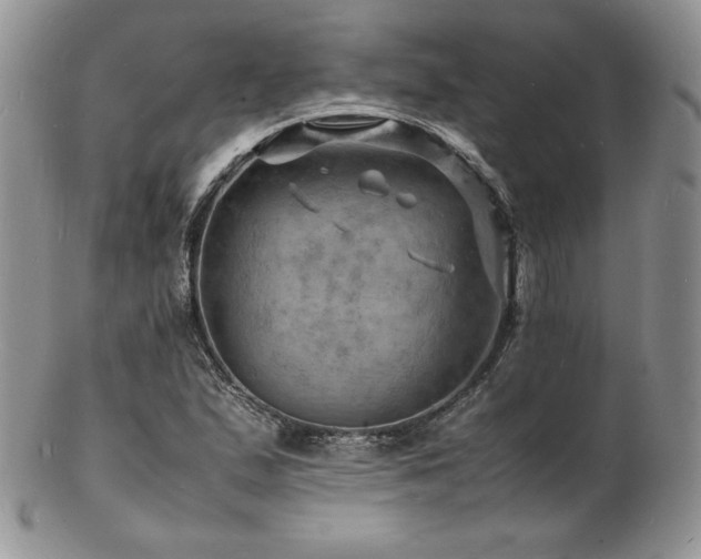 X0000103251167200808281457