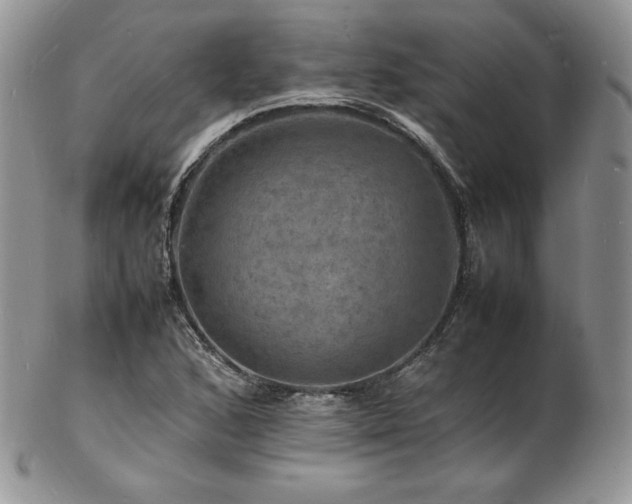 X0000103251168200808281457