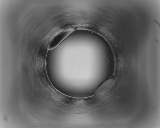 X0000103251169200808281457