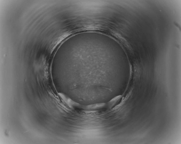 X0000103251170200808281457