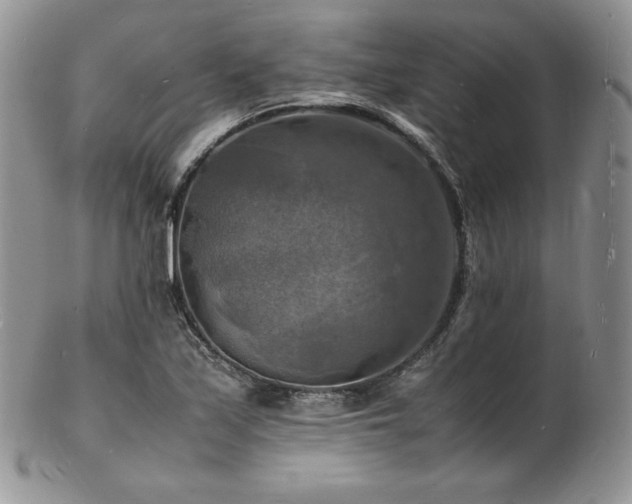 X0000103251171200808281457