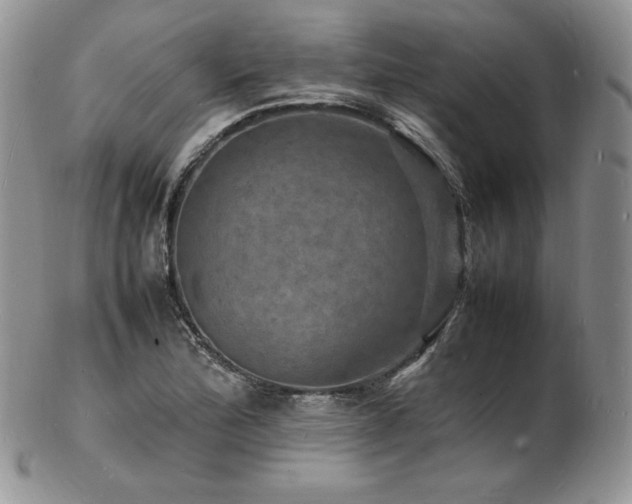 X0000103251172200808281457