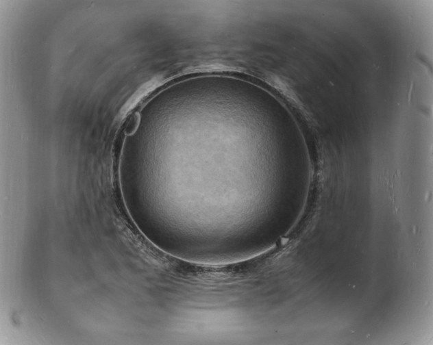 X0000103251173200808281457