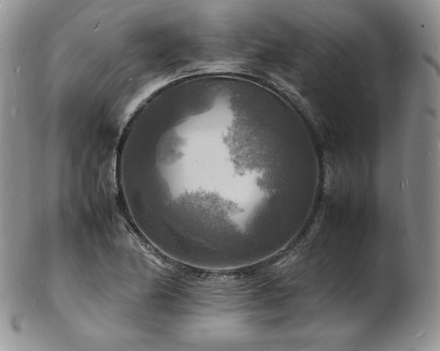 X0000103251174200808281457
