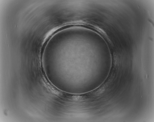 X0000103251176200808281457