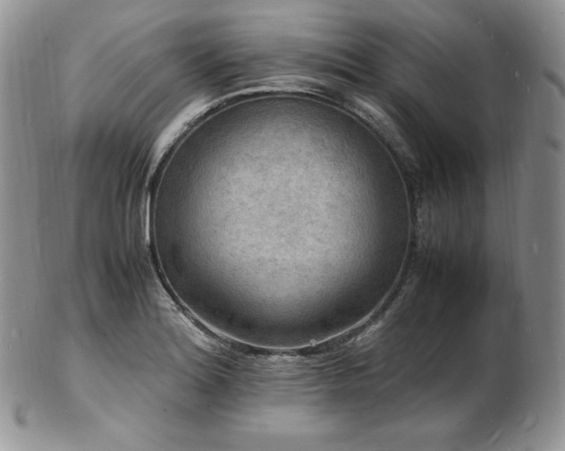 X0000103251180200808281457