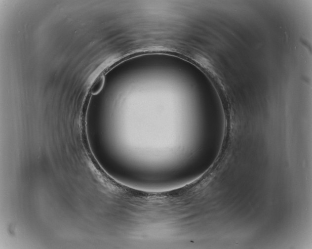 X0000103251181200808281457
