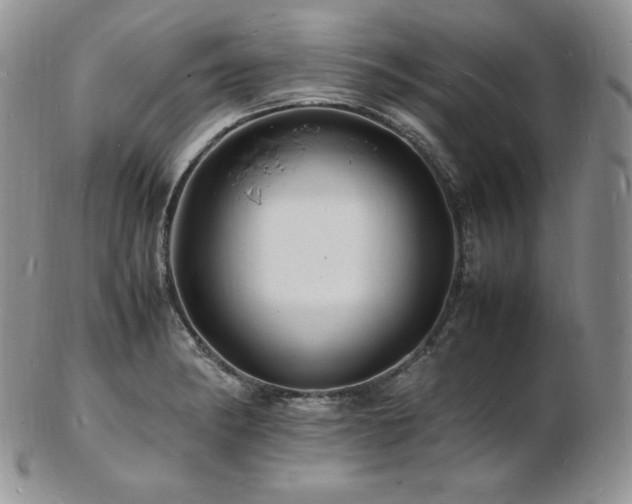X0000103251182200808281457