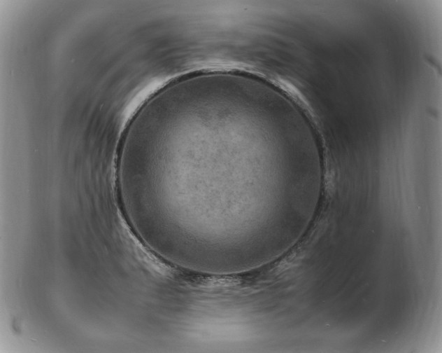 X0000103251183200808281457