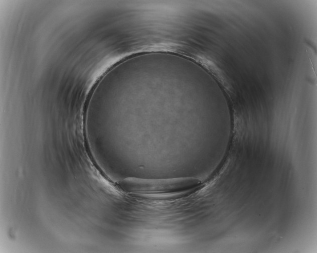 X0000103251184200808281457