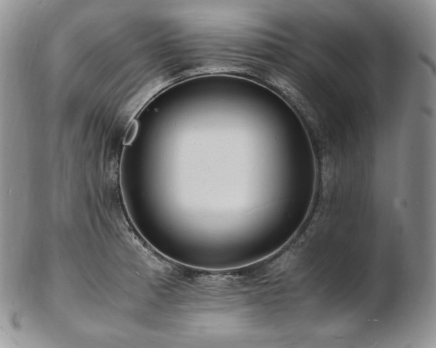 X0000103251185200808281457