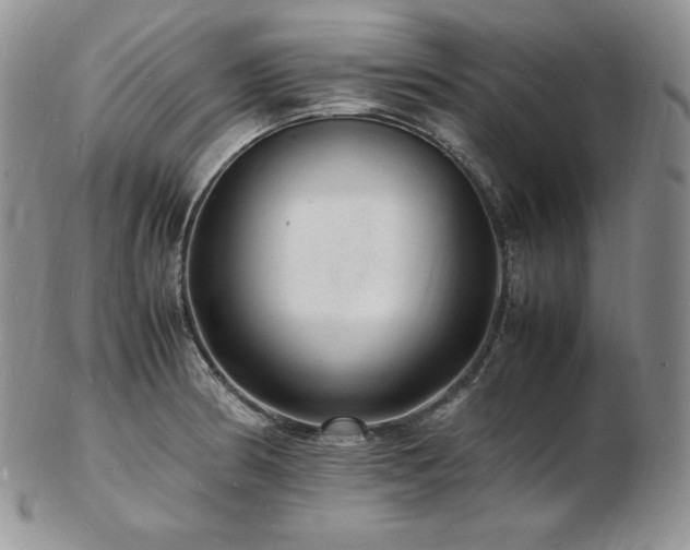 X0000103251186200808281457