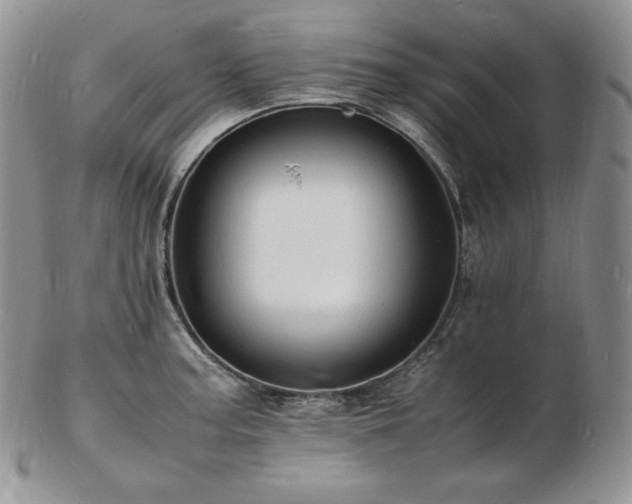 X0000103251187200808281457