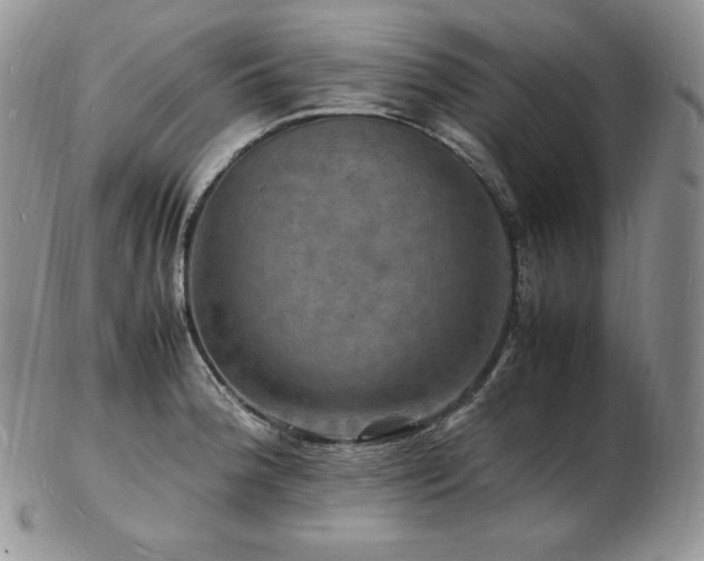 X0000103251188200808281457