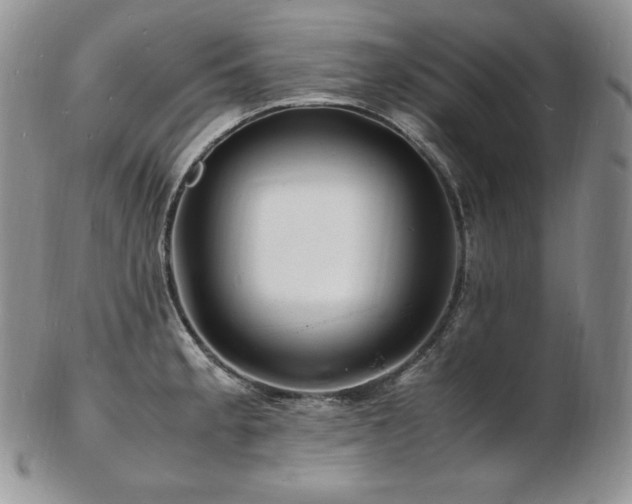 X0000103251189200808281457