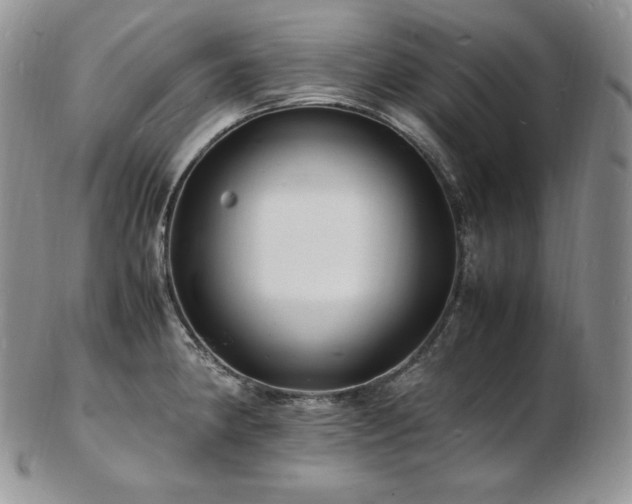 X0000103251190200808281457
