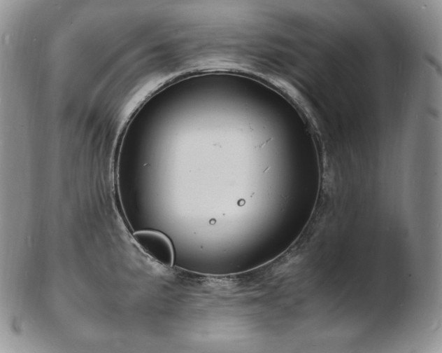 X0000103251191200808281457