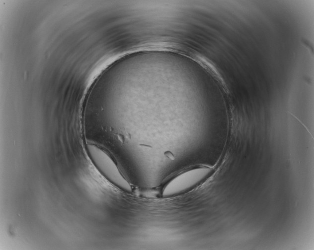 X0000103251192200808281457