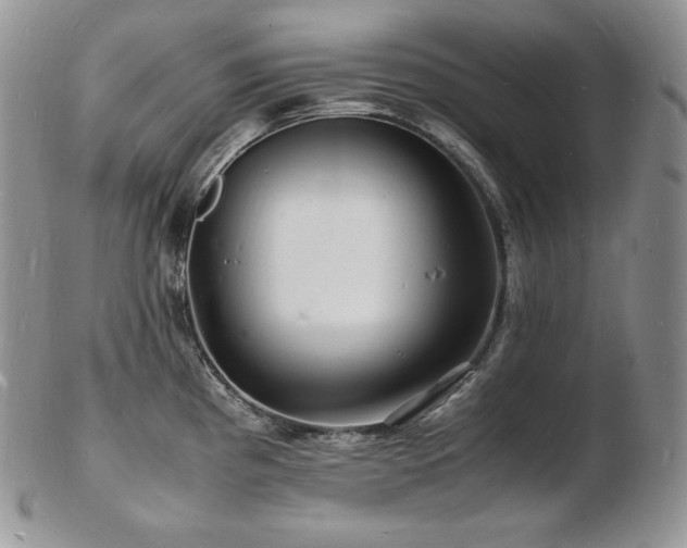 X0000103251193200808281457