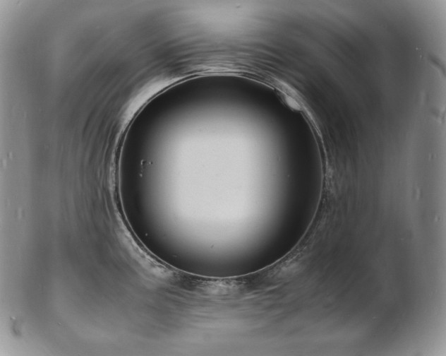 X0000103251195200808281457