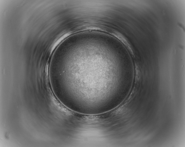 X0000103251198200808281457