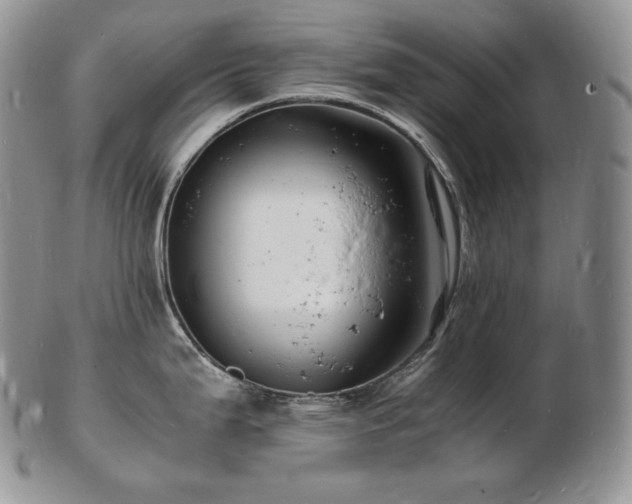 X0000103251199200808281456